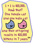 CatOverPopulation